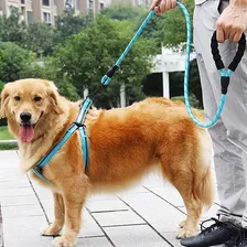 Guia Conforto Cachorro Médio E Grande Porte Corda 1,2 Metros Foto mini 4