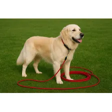 Guia Longa 5 Mts Resistente Adestramento E Passeio De Cães Cor Vermelho Foto mini  3