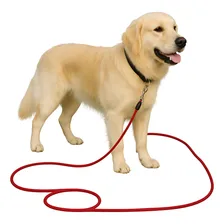 Guia Longa 5 Mts Resistente Adestramento E Passeio De Cães Cor Vermelho Foto mini  2