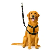 Guia Peitoral Coleira Pet Cachorro CĂŁo Pequeno Porte NÂș1 Foto mini 1