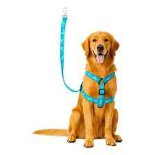 Guia Peitoral Coleira Pet Cachorro Médio Grande Porte 120cm Foto mini 1