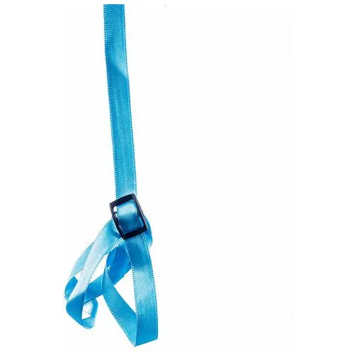 Guia Peitoral Para Passeio Calopsita - Azul Foto 1