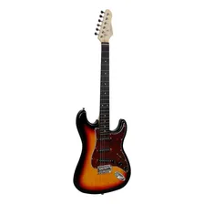 Guitarra Giannini Strato G-100 3ts/tt Cor 3ts Foto mini 1