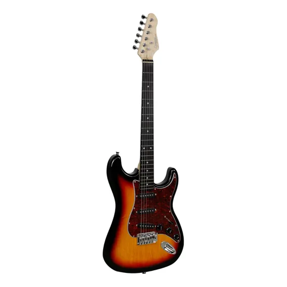 Guitarra Giannini Strato G-100 3ts/tt Cor 3ts Foto 1