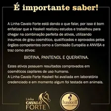 Haskell Cavalo Forte Condicionador 1 Litro Foto mini 3