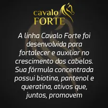 Haskell Cavalo Forte Máscara 300g Crescimento Brilho Foto mini  3