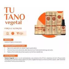 Haskell Kit 3 Máscaras Cavalo Forte + Tutano + Mandioca 1kg Foto mini 4