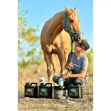 Hemolitan Cavalo Forte 1l Suplemento Liquido Equino Foto mini  3