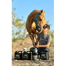 Hemolitan Cavalo Forte 1l Suplemento Liquido Equino Foto mini  2