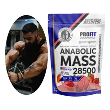 Hipercalórico Anabolic Mass 28500 3kg Profit Labs Sabor Morango Foto mini  3