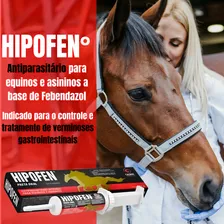 Hipofen vermífugo Cx/12un equinos éguas potro pasta oral 20g Foto mini 4