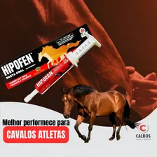 Hipofen vermífugo Cx/12un equinos éguas potro pasta oral 20g Foto mini 3
