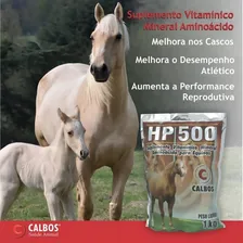 Hp 500 10kg Calbos Vitaminas, Minerais E AminoƔcidos Equinos Foto mini 3