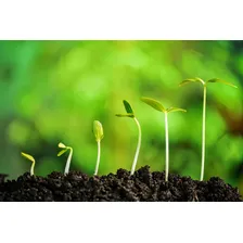 Húmus De Minhoca 2kg Adubo Fertilizante Foto mini 4