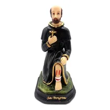Imagem De São Peregrino Escultura Em Resina 13 Cm Pelegrino Cor Não Se Aplica Foto  mini 1
