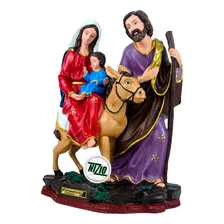 Imagem Nossa Senhora Do Desterro 30cm Inquebrável Foto mini  3