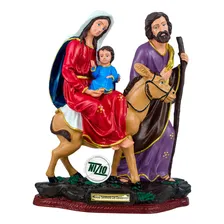 Imagem Nossa Senhora Do Desterro 30cm Inquebrável Foto  mini 1