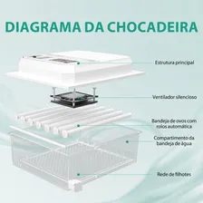 Incubadora para 64 ovos Joyfox Chocadeira Incubadora 23.5cm x 53.5cm x 46.5cm 220V 80W branco2 Foto mini 2