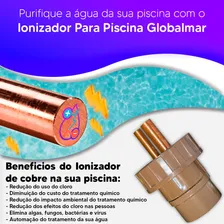Ionizador Piscina 60.000lts Tratamento Com Ions Agua Pure Foto mini 4