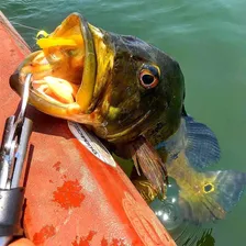 Isca Artificial Lori Jig Xuxinha Anti Enrosco 8gr Cor Cor Branca Foto mini 4