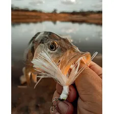 Isca Artificial Lori Jig Xuxinha Anti Enrosco 8gr Cor Cor Branca Foto mini 3