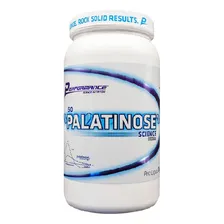 Iso Palatinose 1kg - Performance Nutrition - Original Foto mini 1
