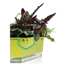 Jarro Decorativo Raiz Auto Irrigável 0.03m Foto mini 4
