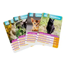 Jogo Super Trunfo Gatos Grow Foto mini 2