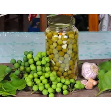 Jurubeba Em Conserva 300g - 1 Unidades Foto mini  2