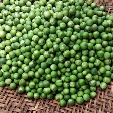 Jurubeba Em Conserva 300g - 1 Unidades Foto mini  3