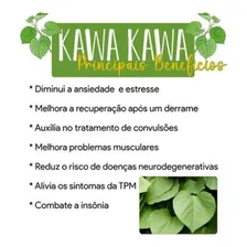 Kawa Kawa 500mg 100 Cápsulas Denature Sabor Natural Encapsulados Naturais Foto mini  2