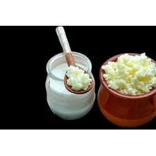 Kefir De Leite Com Manual De Instruções Para Cultivo Foto mini  3
