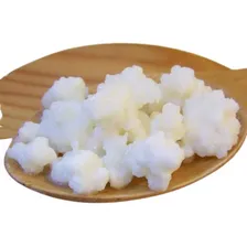 Kefir De Leite Com Manual De Instruções Para Cultivo Foto mini  2