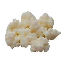Kefir De Leite + Manual De Instrução Foto mini 1