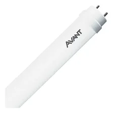 Kit 05 Lampada Led Tubolar T8 09w 60cm 6500k Avant Foto mini  2