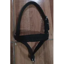 Kit 10 Cabresto Para Bode Bode Ovinos Caprinos Reforçada Foto mini  3