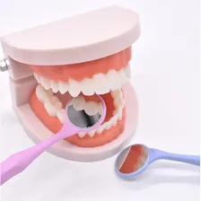Kit 10 Espelhos Dentista Dupla Face Clínico Odonto Premium Cor Sortidas Foto mini 2