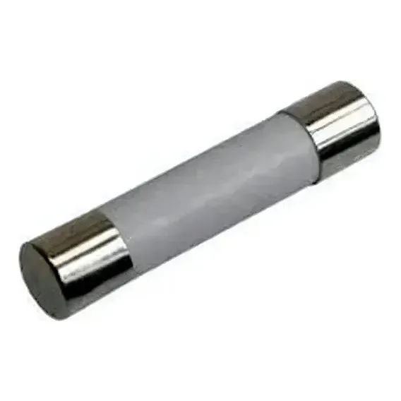 Kit 10 FusÃvel Cerâmico De Para Forno Microondas 20a Foto 1