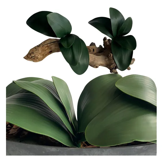 Kit 10 Hastes De Folha De OrquĆdea Realista 26 Cm Decoração Cor Verde Foto 1