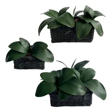 Kit 10 Hastes De Folha De OrquĆdea Realista 26 Cm Decoração Cor Verde Foto mini 4