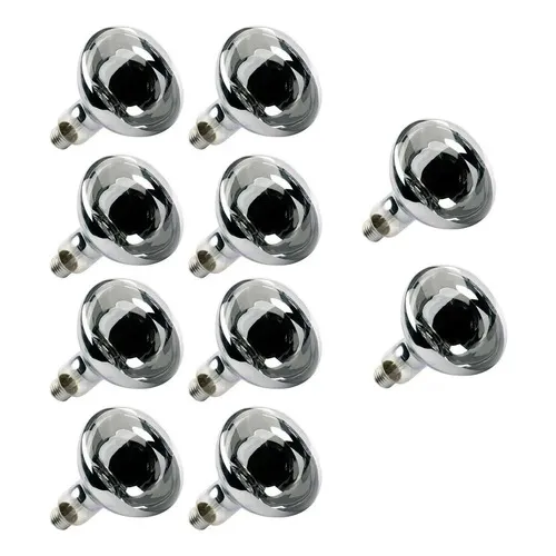 Kit 10 Lampada Secagem Infravermelha 250w E27 Estufa Foto 1