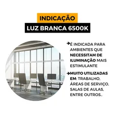 Kit 10 Lâmpadas Led Tkl 60 9w 6500k Branco Frio Taschibra Foto mini 3