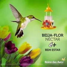 Kit 10 Nectar Para Beija Flor Refil 400g Reino Das Aves Foto mini 4