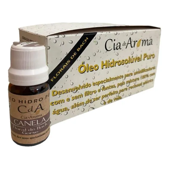 Kit 10 Óleo Hidrossolúvel Canela Puro Umidificadores 10ml Foto 1