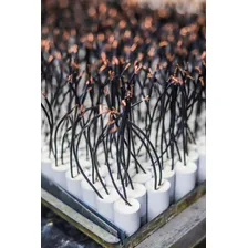 Kit 10 Pcs - Capacitor Permanente Cabo 12uf 440v 450v - Fios Foto mini  2