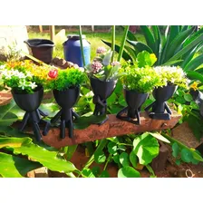 Kit 10 Vasinhos Suculentas Robert Bbb Bob Planta Decoração Foto mini 4