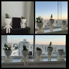 Kit 10 Vasinhos Suculentas Robert Bbb Bob Planta Decoração Foto mini 3