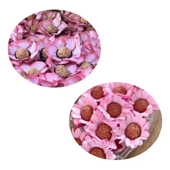 Kit 100 Forminhas Doces Finos Margaridas Jufiori Foto 1