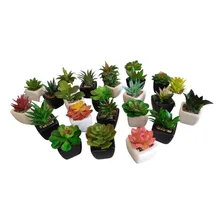 Kit 12 Mini Suculentas Artificiais - Vasinho Cerâmica Foto mini 3