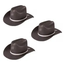 Kit 14 Chapéu Country Cowboy Eva Festa Peão Rodeio Festa Cor Preto Foto mini 4